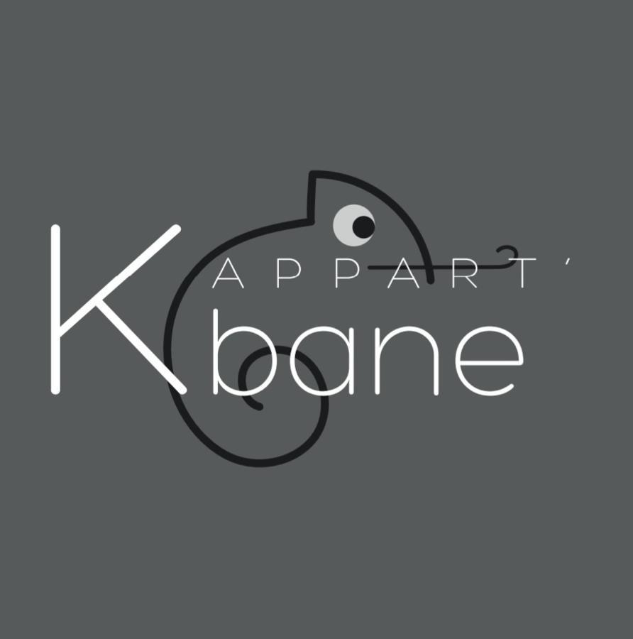 L'Appart K-Bane- Wifi Fibre- Checkin Auto- 2 Pers Ле-Ман Екстер'єр фото